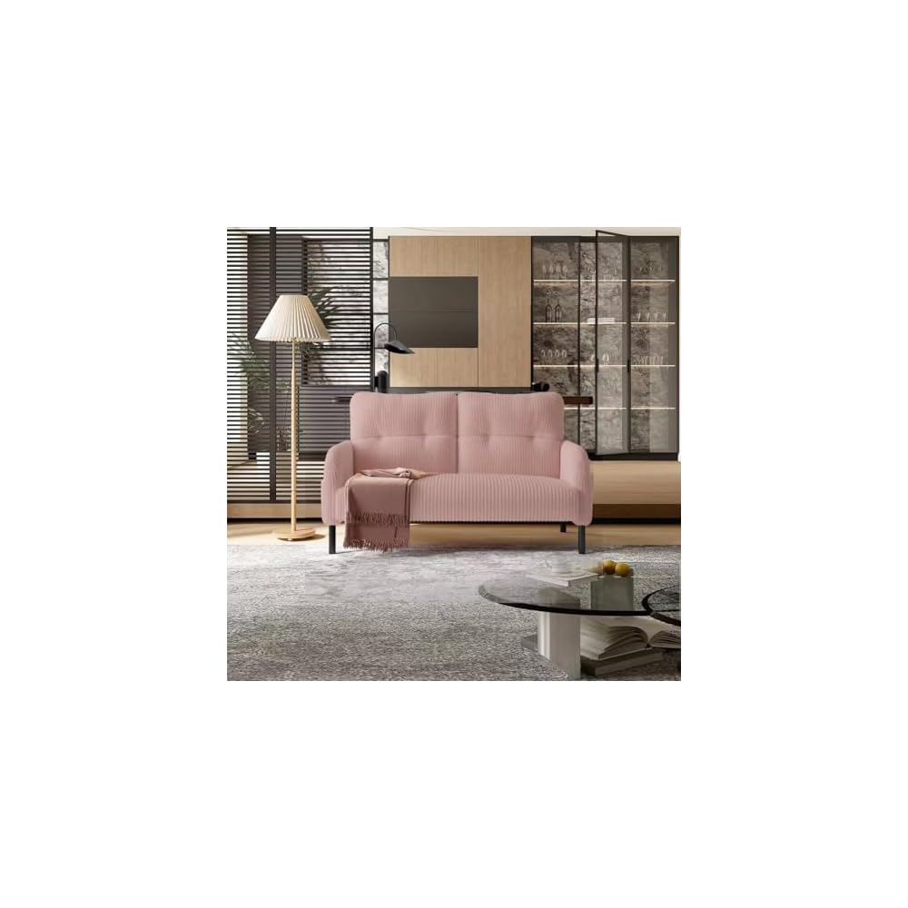 Pink Small Loveseat Couch for Small Spaces, Mini Sofa for Bedroom